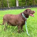 Pat Sterling - @sterling.pat - Instagram