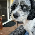 Pat Stern - @patriciastern13 - Instagram