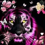 Patsy Stidham - @patsy.stidham.3 - Instagram