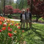 Pat Stillman - @lesof37 - Instagram