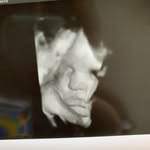 Patti Stillman - @pattistillman - Instagram