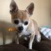 Pat Stiltner - Facebook