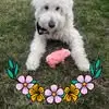 Pat Stiltner - @pat.stiltner - TikTok