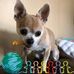 Pat Stiltner - Facebook