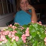 Pat Stiltner-Marcum - @stiltnermarcum - Instagram