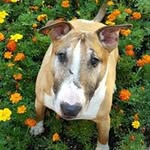Pat Stinson - @stinsonpat - Instagram