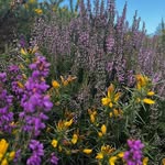 Pat Stinson - @patstinson1 - Instagram