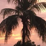 Pat Stoddard - @pat.stoddard.925 - Instagram
