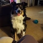Pat Stoddard - @novoct_1942 - Instagram