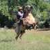 Pat Stoddard - Facebook
