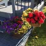 P&L - @pat.stoddard66 - Instagram
