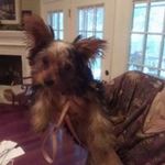 Pat Stokes - @pat.stokes.9828 - Instagram