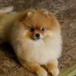 Pat Raborg Stoots - @patraborg - Instagram
