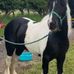 Patsy Storan - Facebook