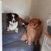 Pat Stout - Facebook