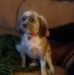 Pat Stowe - Facebook