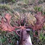 Pat Stratton - @pat.stratton.69 - Instagram