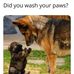 Patricia Mariano Stratton - Facebook