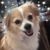 Pat Strauss776 - @patstrauss0 - TikTok