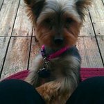 Pat Strauss - @patsypowellstrauss - Instagram