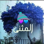 شارع_باتا💙💜 - @pataa__street - Instagram