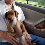 Pat Stricklin - @stricklinpat - Instagram
