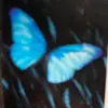 Pamela Stringfield62 - @pamelastringfield - TikTok