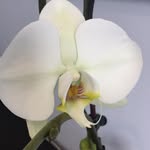 Pat Strohack - @patstrohack - Instagram