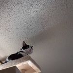 Pat Stroupe Martin - @patstroupe - Instagram
