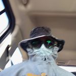 Patrick Stroup - @patrickstroup50 - Instagram