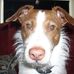 Patch Stubbs - Facebook
