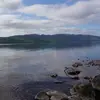 patricia sturmon - @patricia.sturmon - TikTok