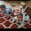 Patty Priest Stutts - @pattyprieststutts2 - TikTok