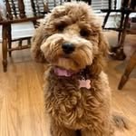 Patricia Sublett - @sublettpatricia - Instagram