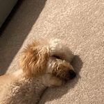 Pat Sweeney - @pat.sweeney.739 - Instagram