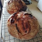 Pat Sweeney - @sourdoughnovice - Instagram