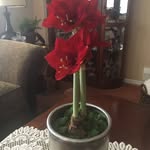 Pat Swenson - @swenson.pat - Instagram