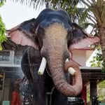 മണികണ്ഠന്‍ - @pattambi_manikandan - Instagram