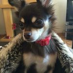 Pat Tatum - @pattatum.41 - Instagram