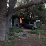 Pat Temple - @toodlesbug2023 - Instagram