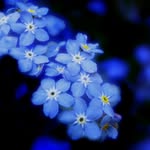 Pat Terrill - @patricia_3490 - Instagram