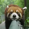 patrickterrill91 - @patrickterrill91 - TikTok