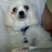 Pat Testa - Facebook