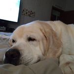 Pat Thacker - @pat.thacker.16 - Instagram
