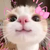 ส้ม - @pattharporn2 - TikTok