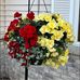 Pat Thayer - Facebook