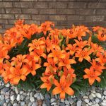 Patricia Thayer - @patrueis40 - Instagram