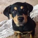 pat theiss - @pattheiss - Instagram