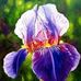 Pat Therrien - Facebook
