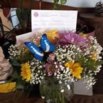 Pat Thiessen - @pat_thiessen - Instagram
